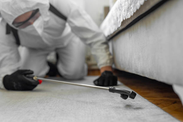 Professional Bed Bug Control technician working in Flora, IN